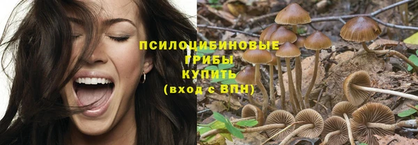 мескалин Елизово